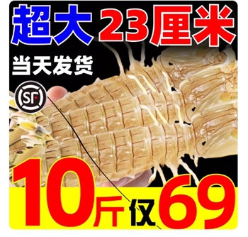 皮皮虾全母鲜活冷冻特大带膏带籽虾爬子椒盐即食濑尿海虾海鲜水产