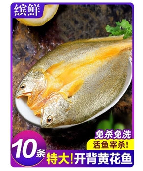 黄鱼鲞新鲜冷冻大黄鱼黄花鱼三去生鲜宁德小黄鱼鲜活海鲜海鱼商用